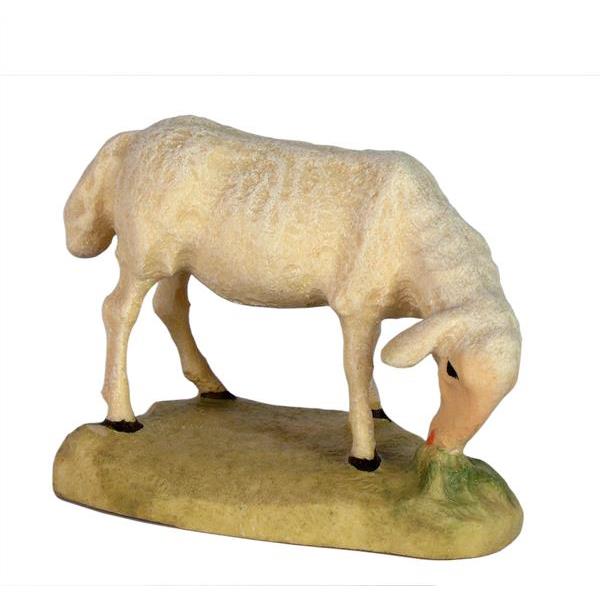 Schaf grasend - lasiert