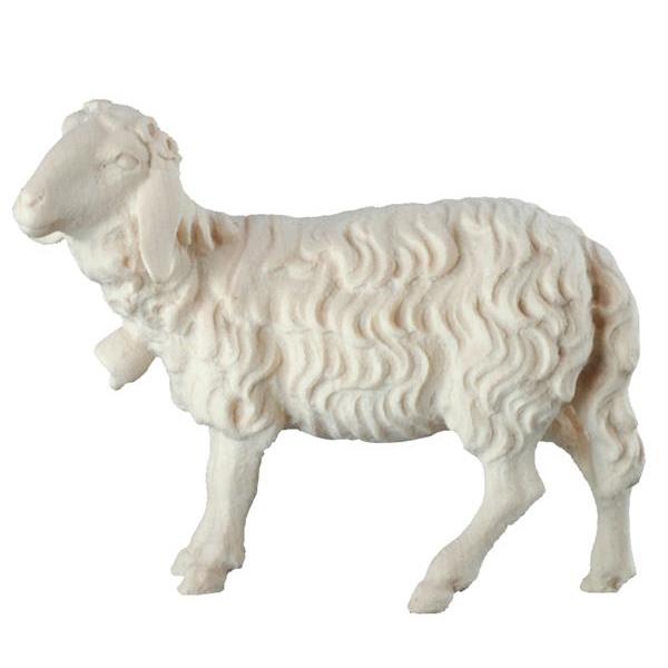 Schaf mit Glocke  - natur