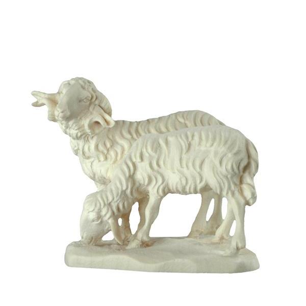 Ram with Sheep - natural