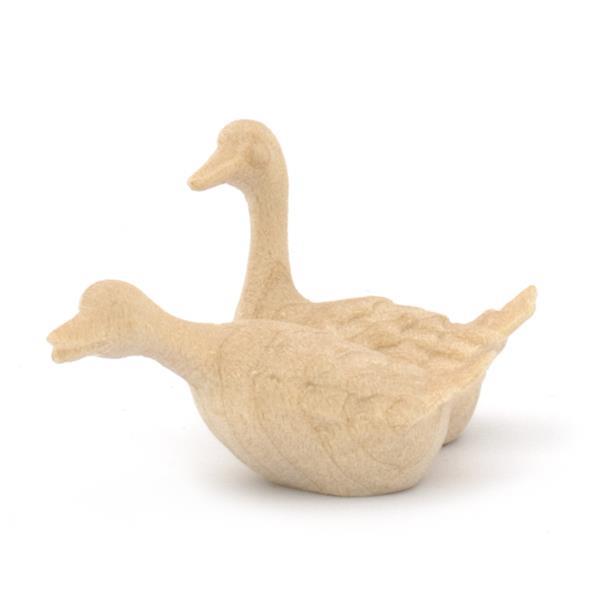 goose group swimming - natural