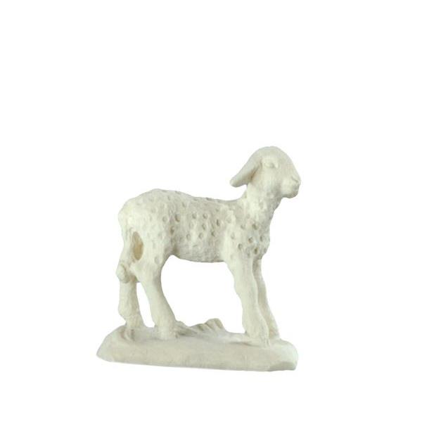 Lamb Nr.93 - natural