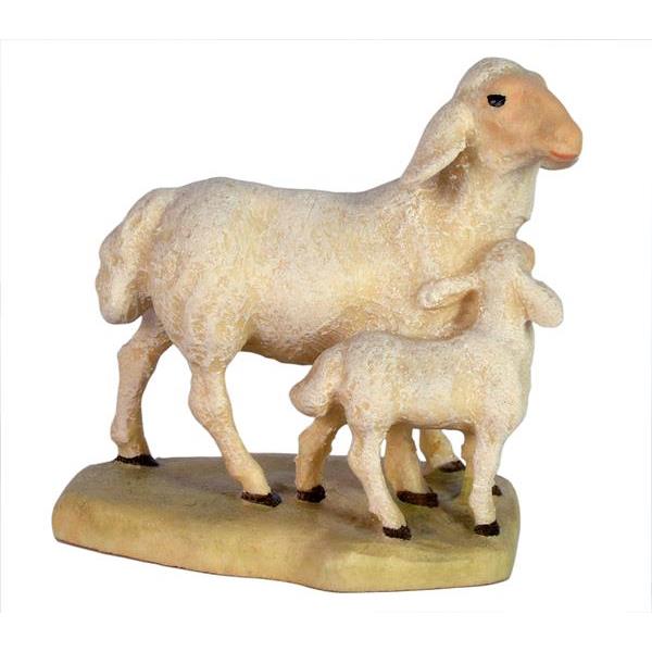 Sheep with lamb - color
