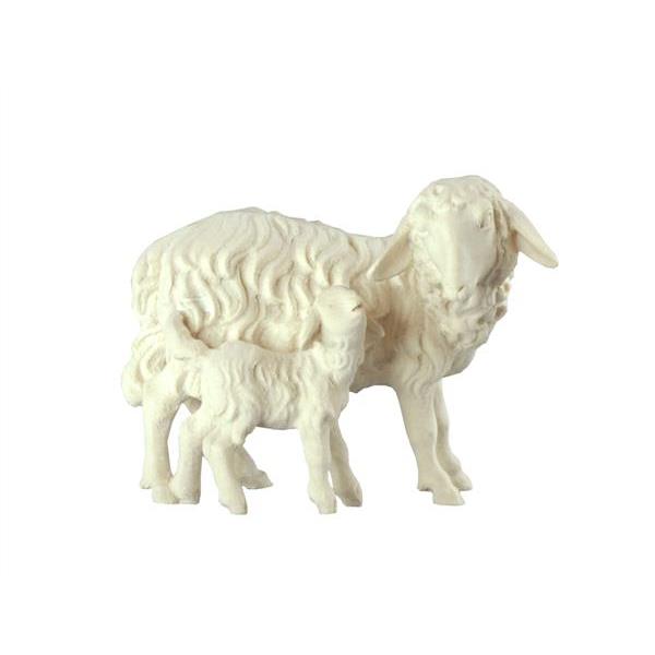 Sheep standing with lamb - natural