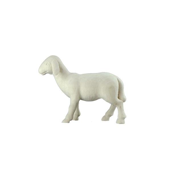 Sheep standing "M" - natural
