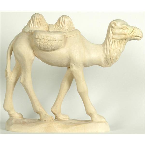 Camel (old) - natural