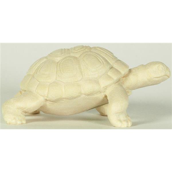 Tortoise - natural