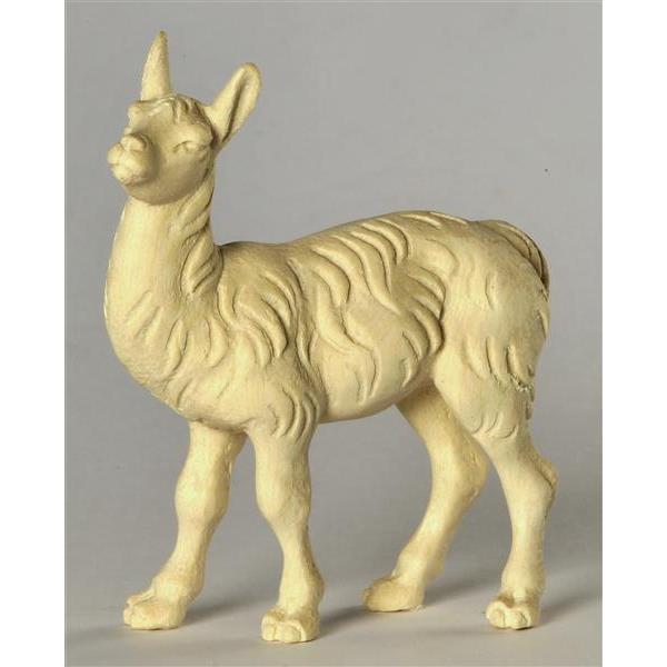 Llama - foal - natural